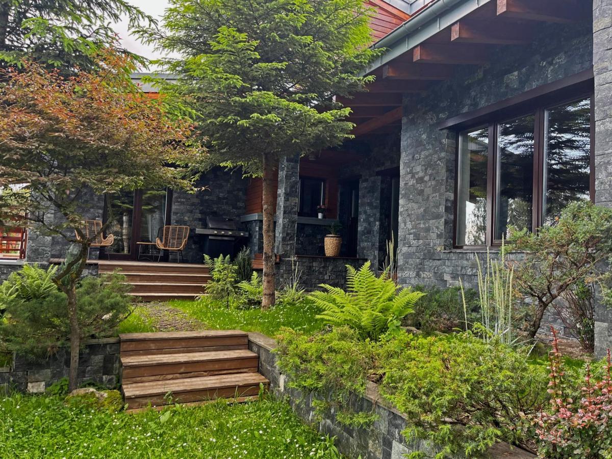 Bazalt Wellness Villa Харгіта-Бей Екстер'єр фото